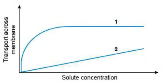 Usmle1 4