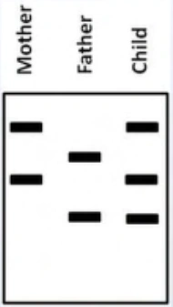 Usmle5 1